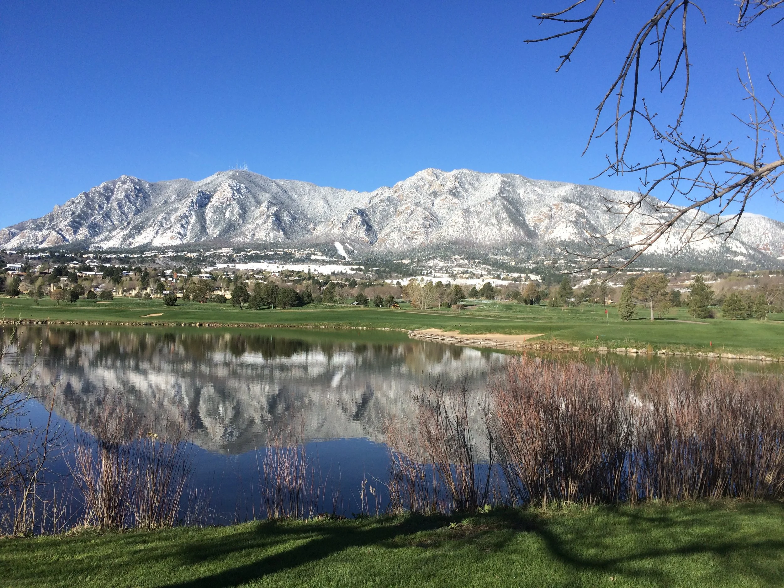 COLORADO SPRINGS PATHOLOGY ASSOCIATES