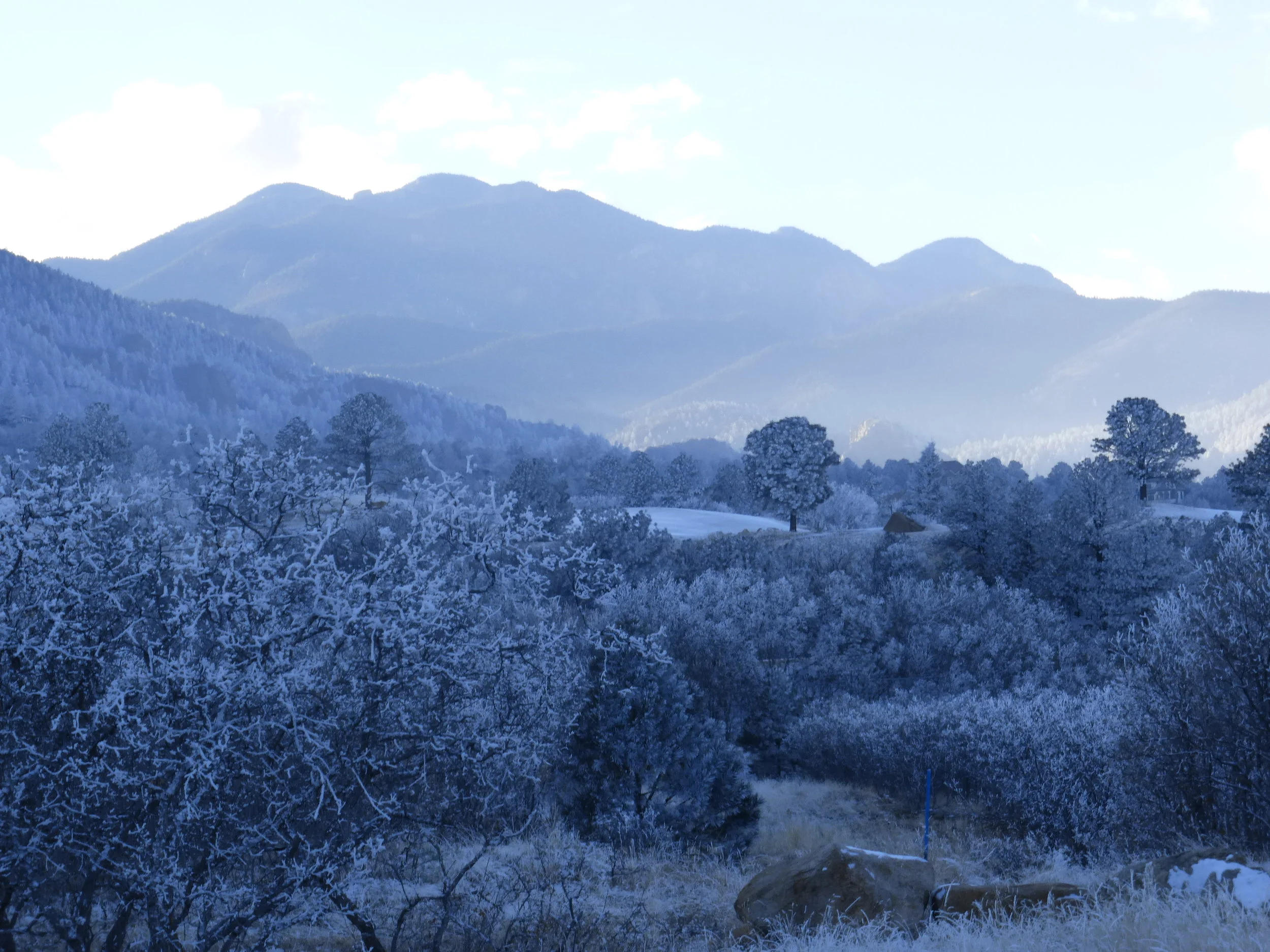 COLORADO SPRINGS PATHOLOGY ASSOCIATES
