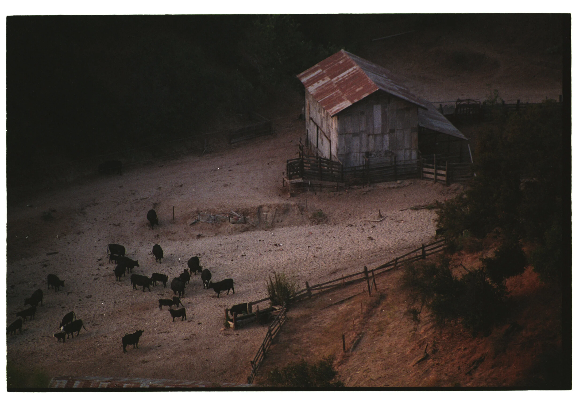 LawrenceBridges_CENTRAL CALIFORNIA RANCH_93_232067.jpeg