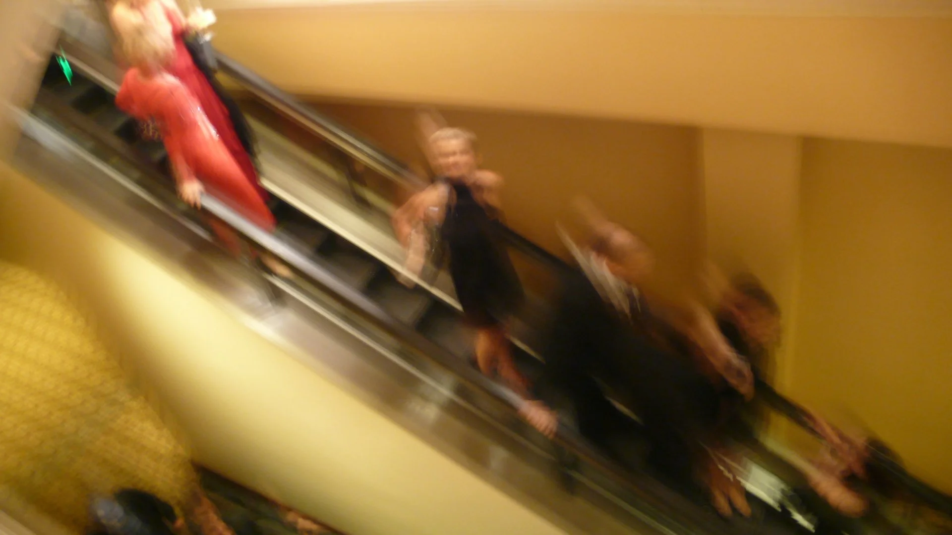 486. MUTUAL INTERESTS_L1010578.JPG