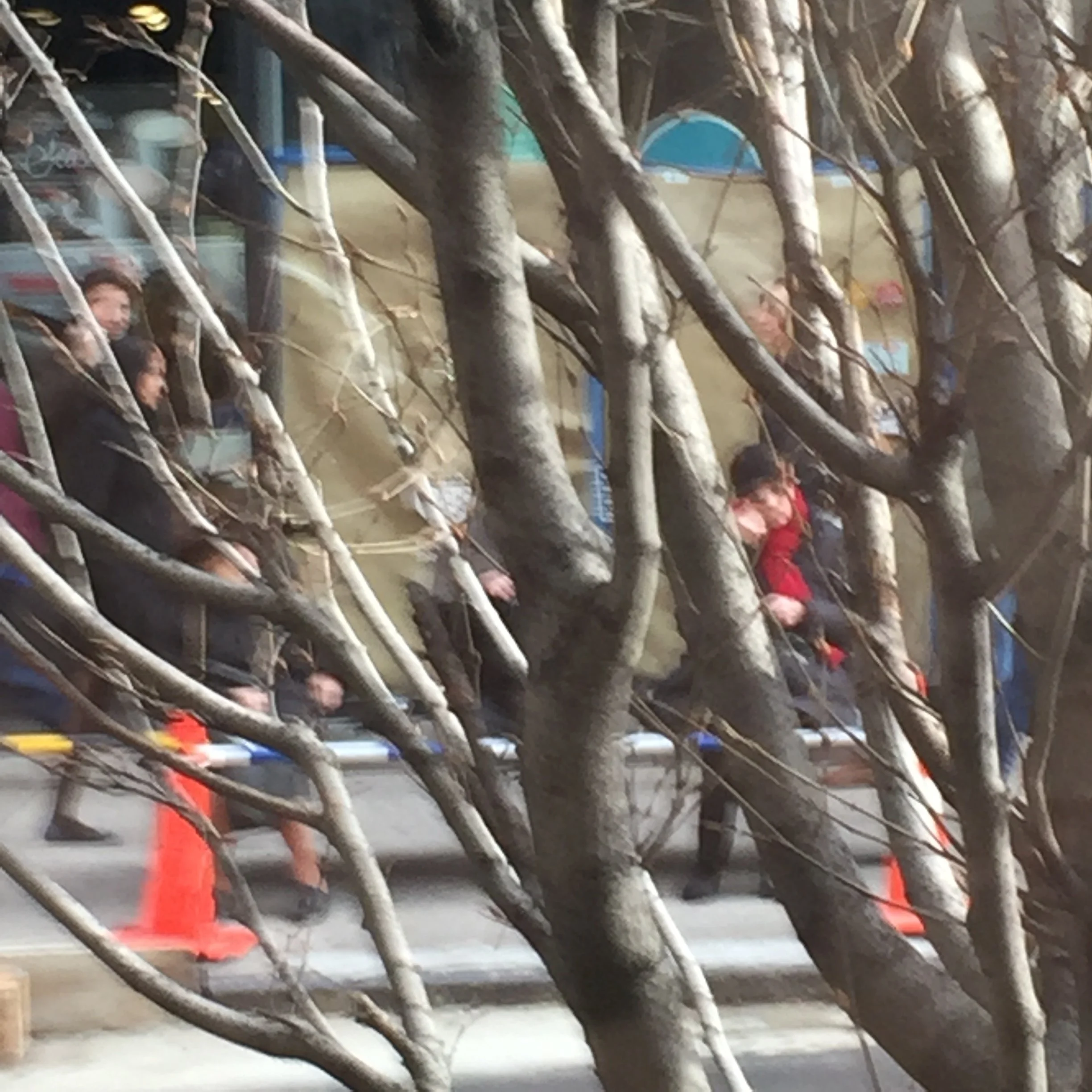 496. SADNESS BEHIND SAD TREES_IMG_0315.JPG