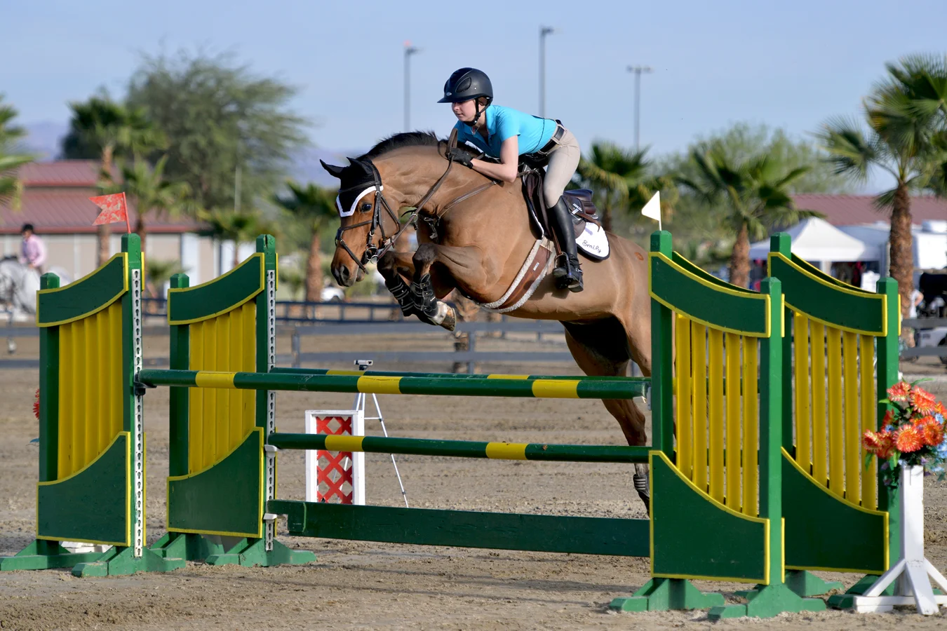 Gallery — Ringside Equestrian Center