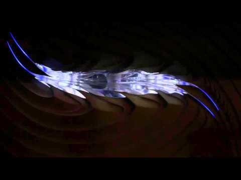 LIQUIFORM