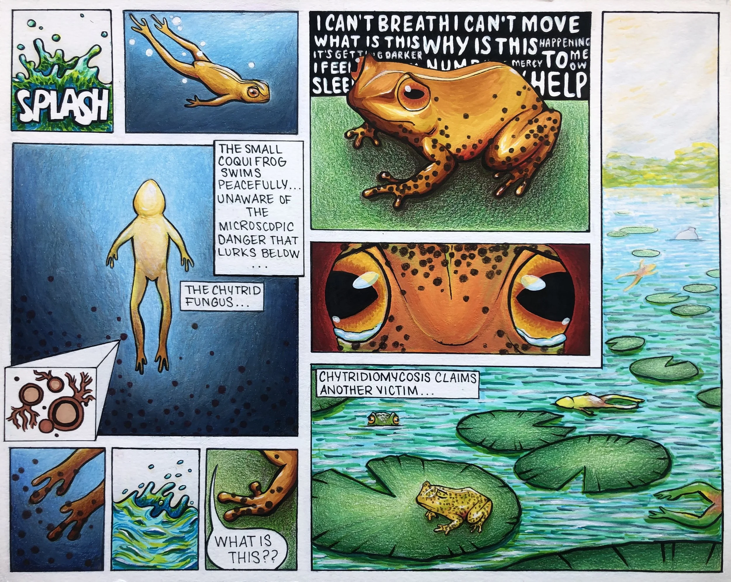  “Which species are silently suffering as climate change and pollution worsen?” -Angie Branson 