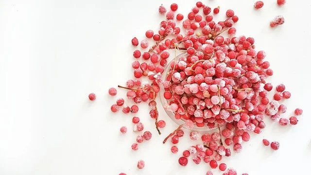 cranberry.jpg