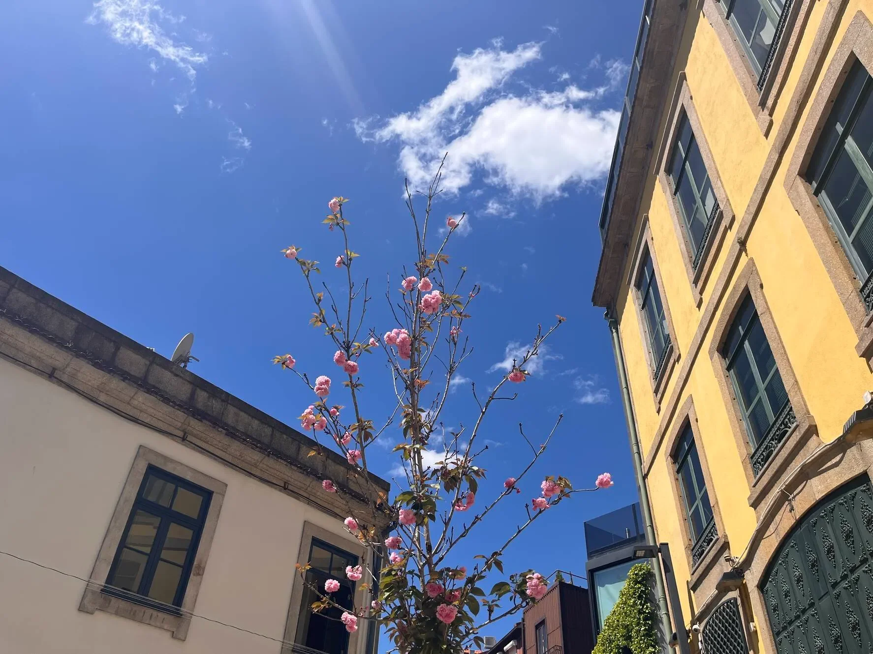 Healing Money Trauma and Becoming “Work Optional” as an Entrepreneur with Gina Knox