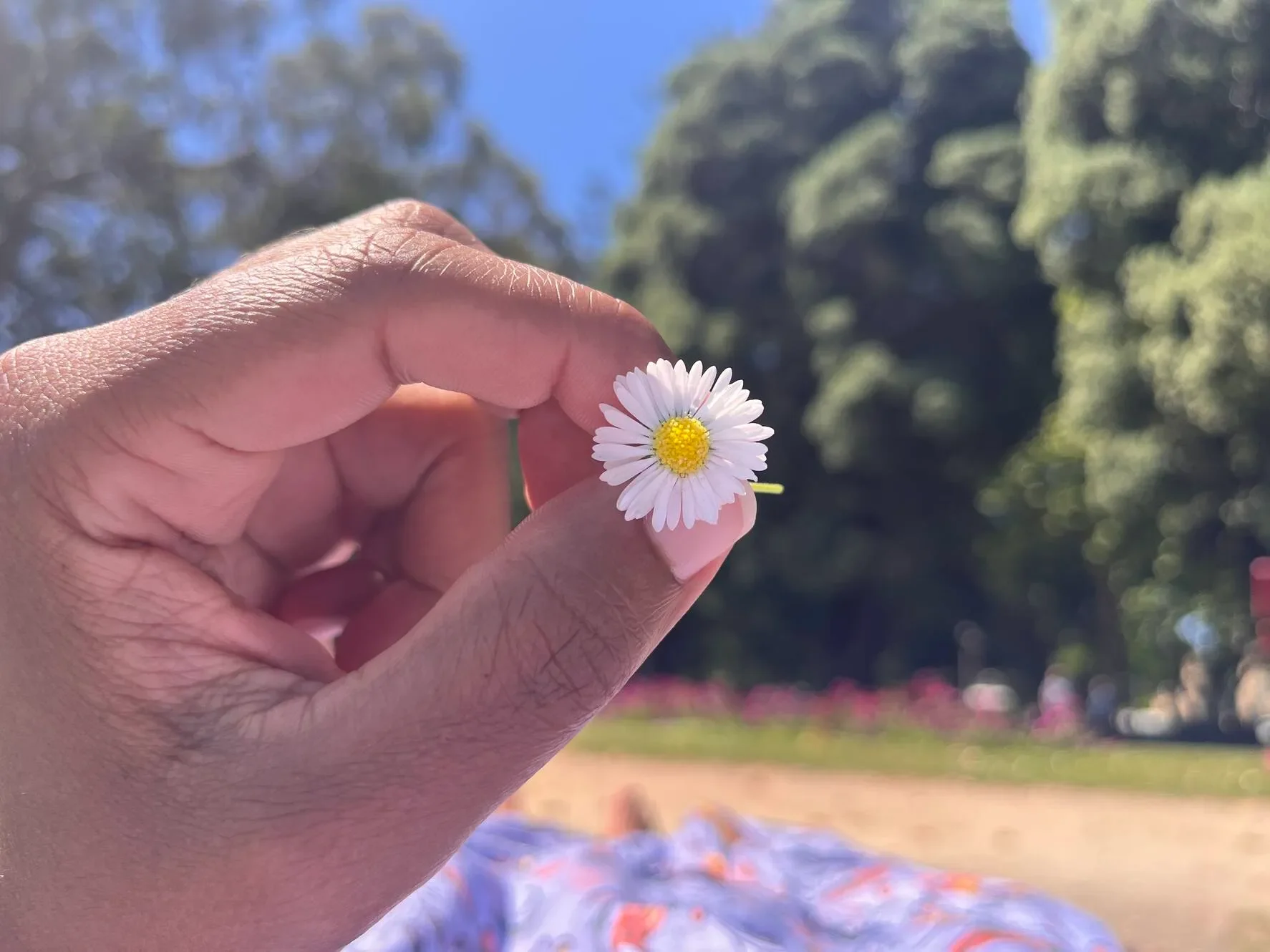 Stop Focusing on Your Audience