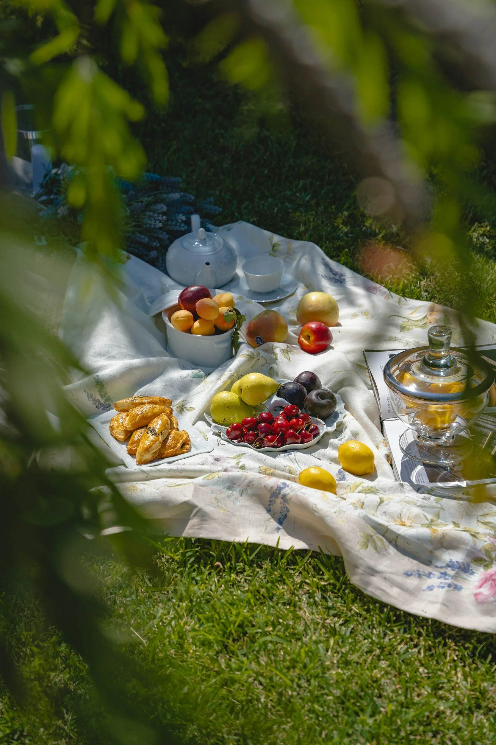Beyond survival mode: Your body is meant for more