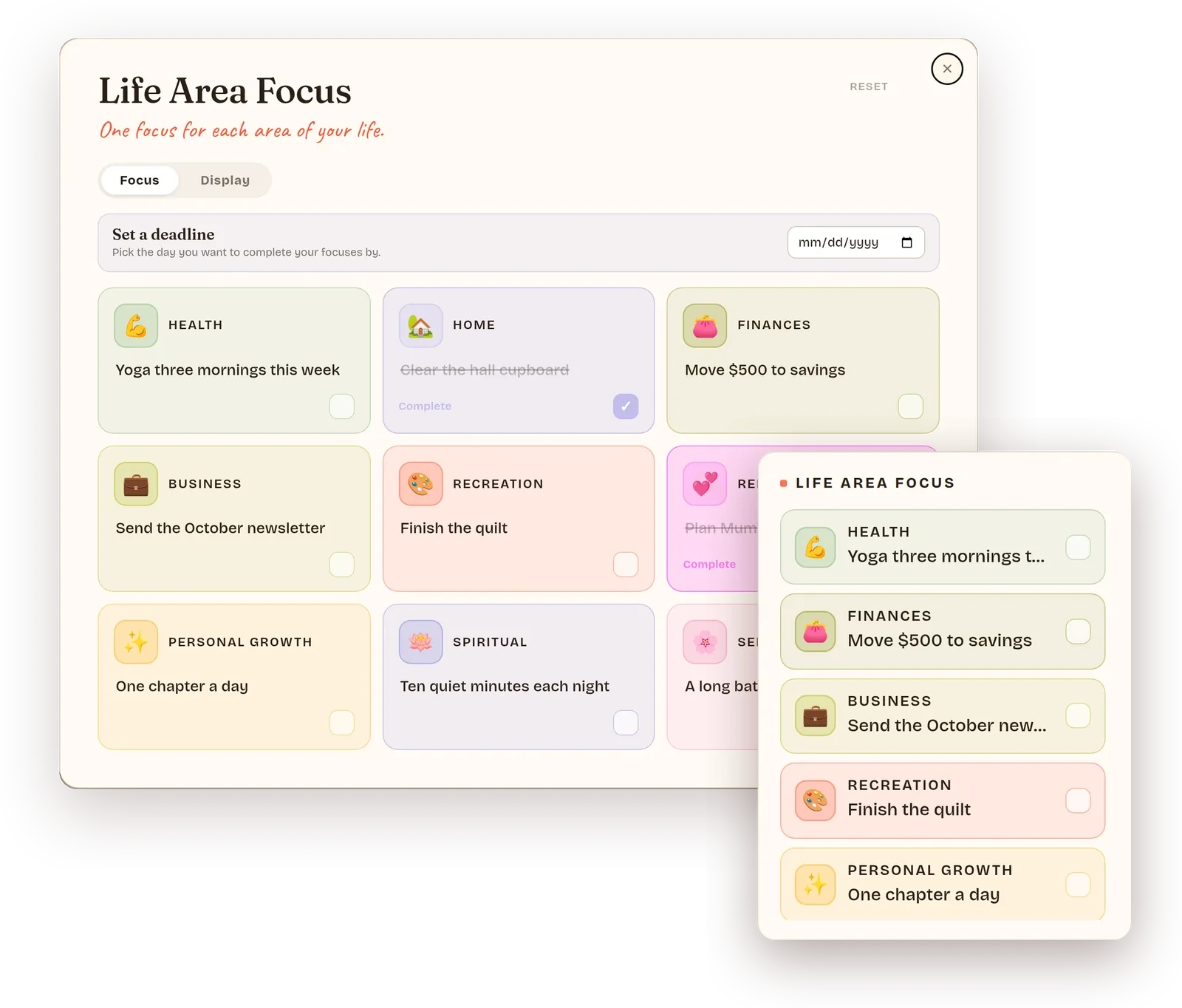 life-area-focus-1600.webp