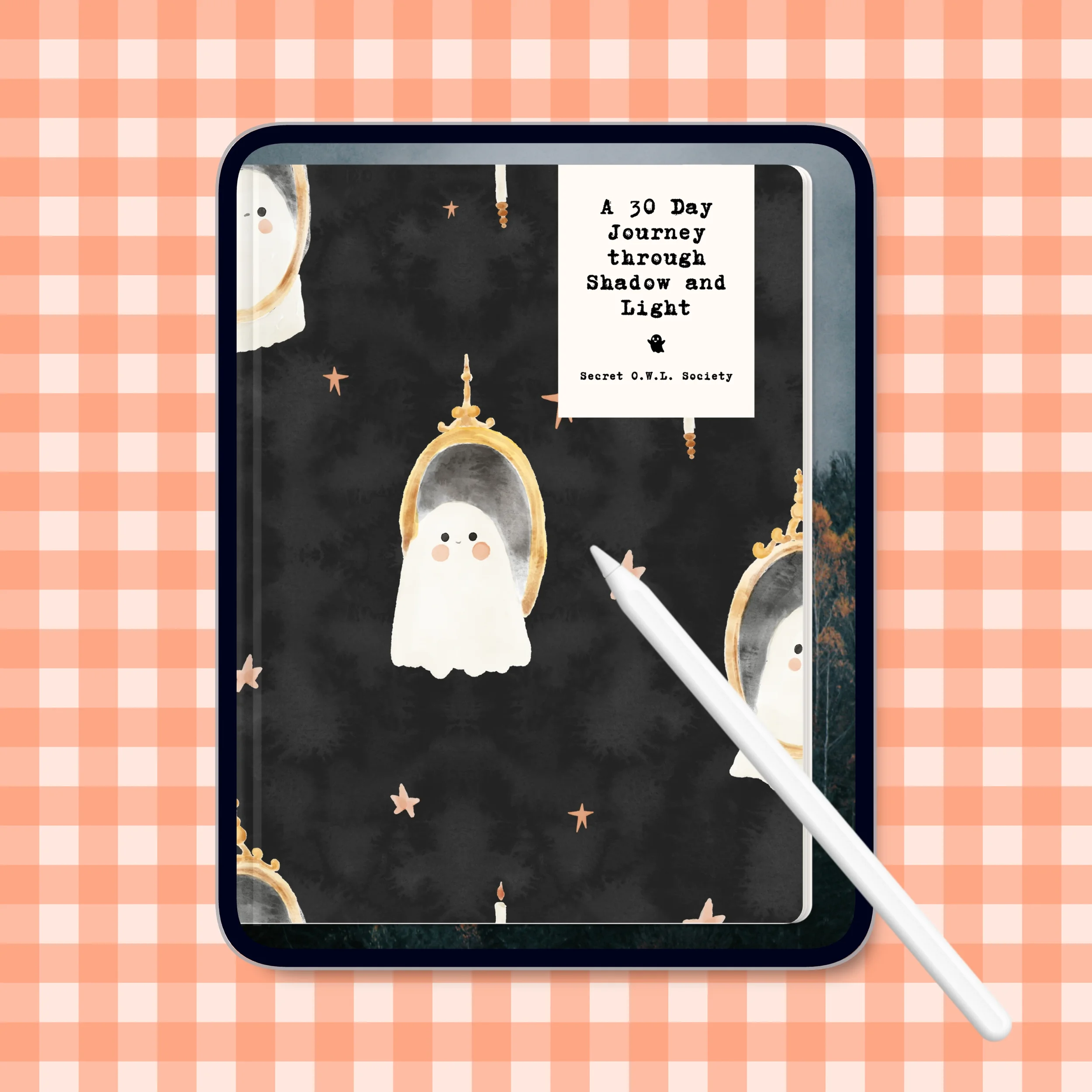 Shadow Work Journal