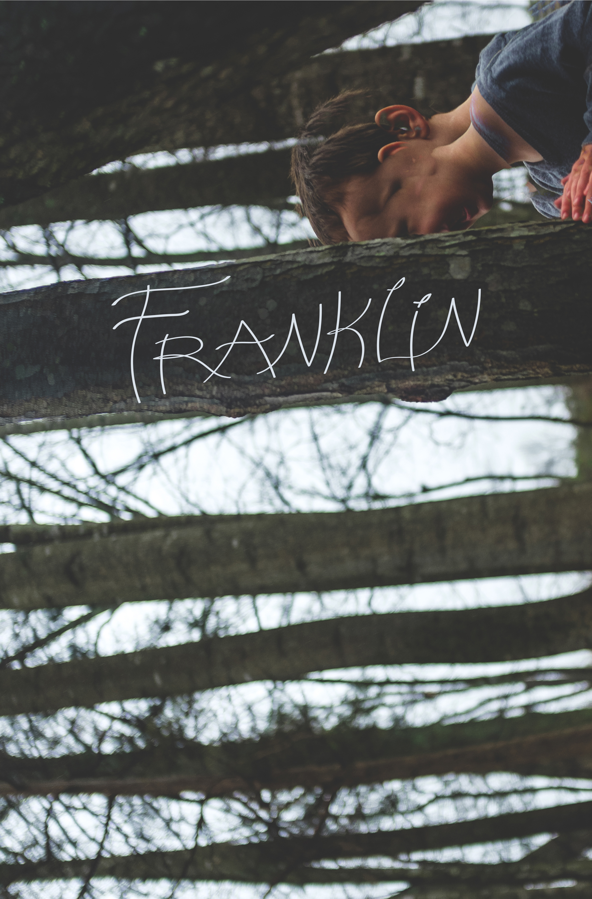 Franklin Poster-01.jpg