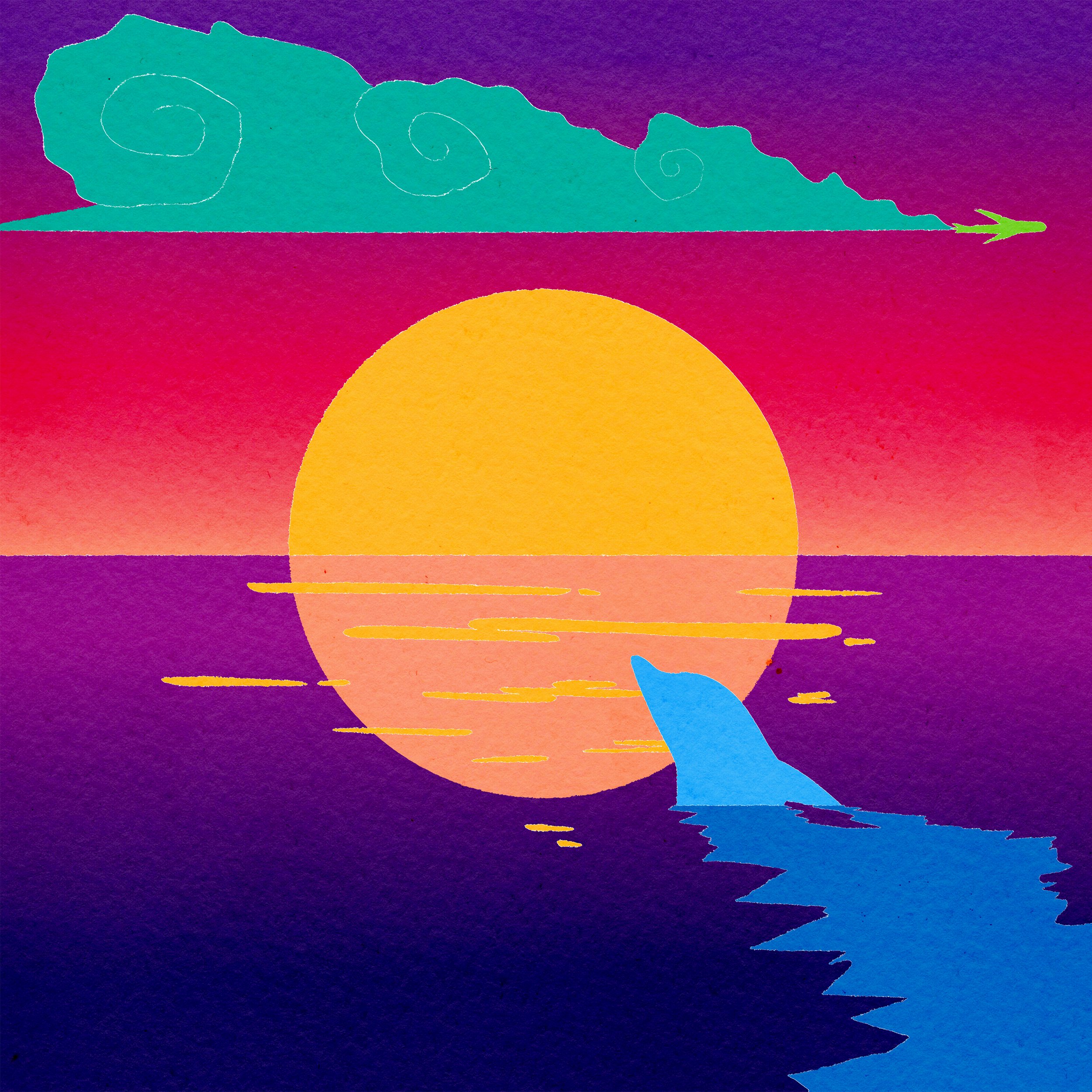 sunset_dolphin.jpg