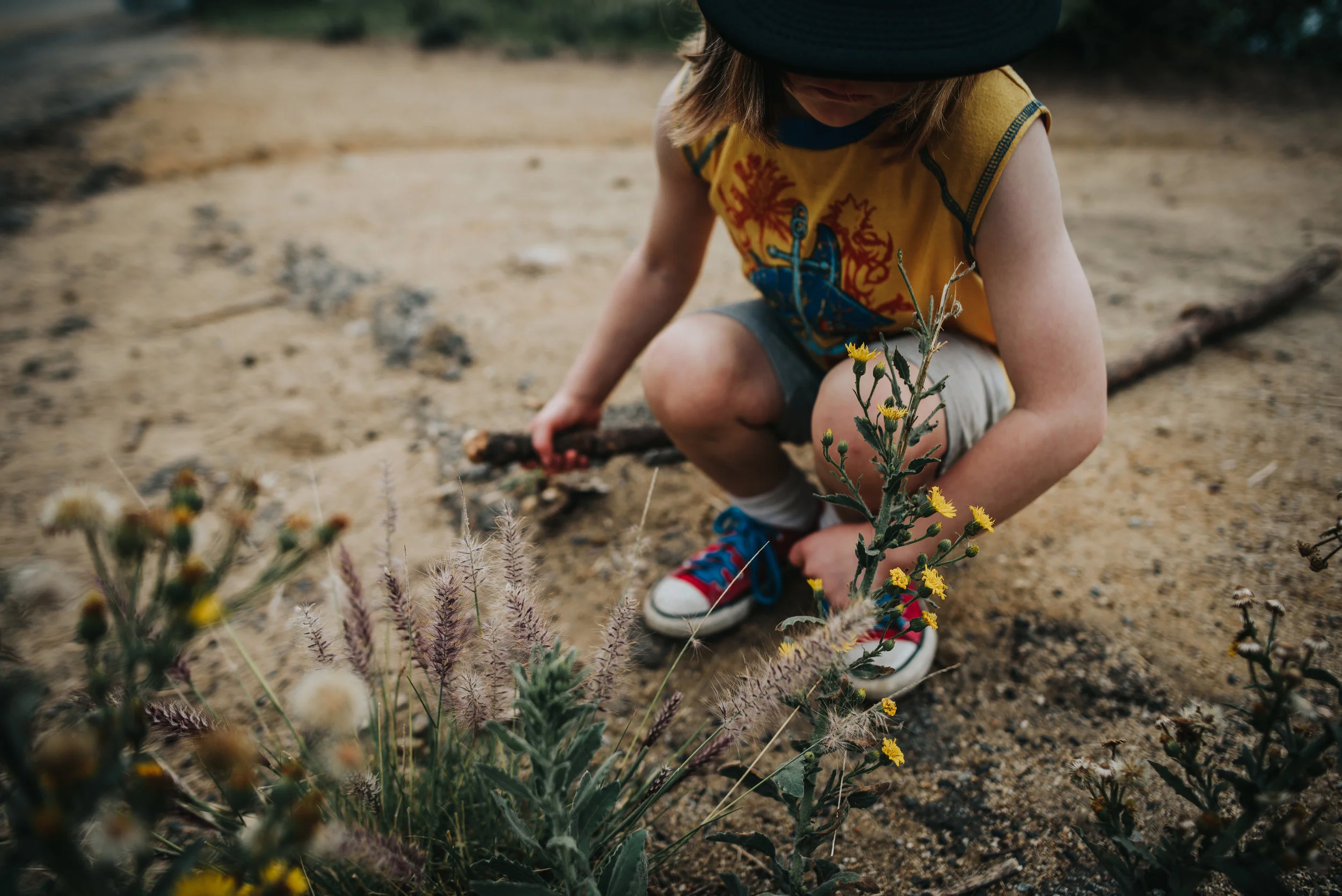 Little boy explores wild flowers during mountain hike in Hollywood, California.