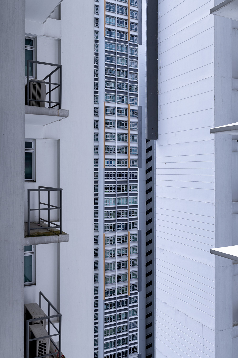buona vista, infinity #7