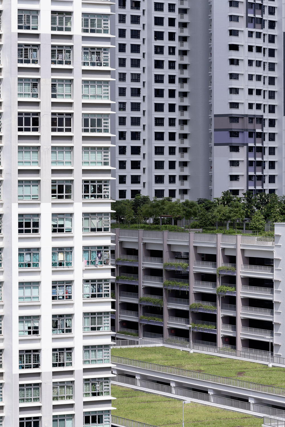 buona vista, across #2