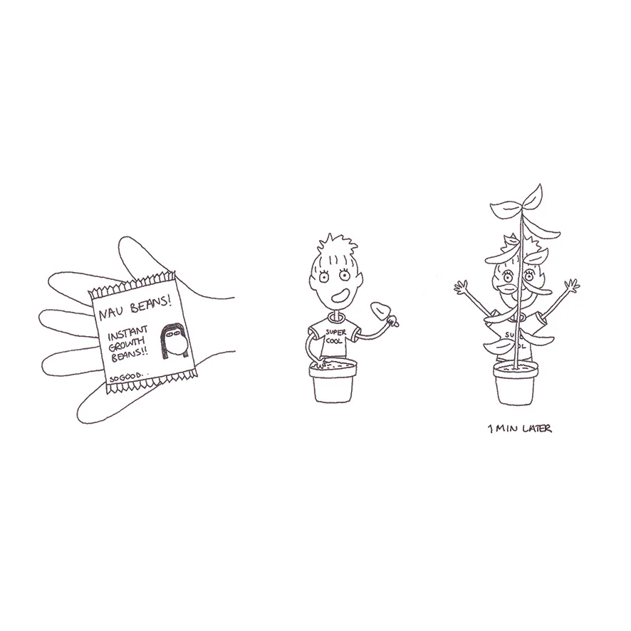 naubeans web thumbnail.jpg