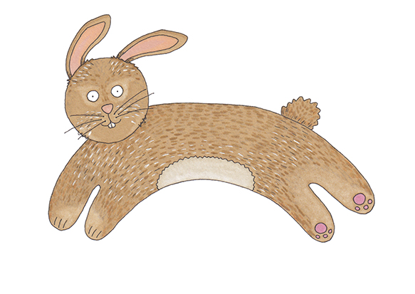 rabbit web.jpg