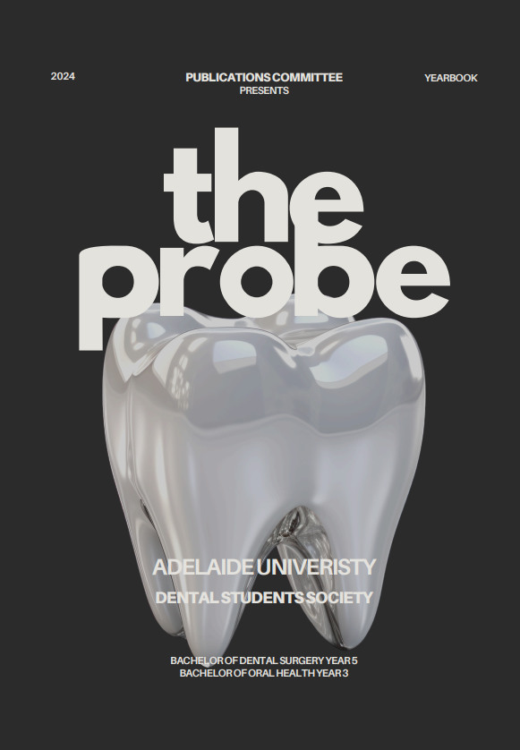 The Probe 2024