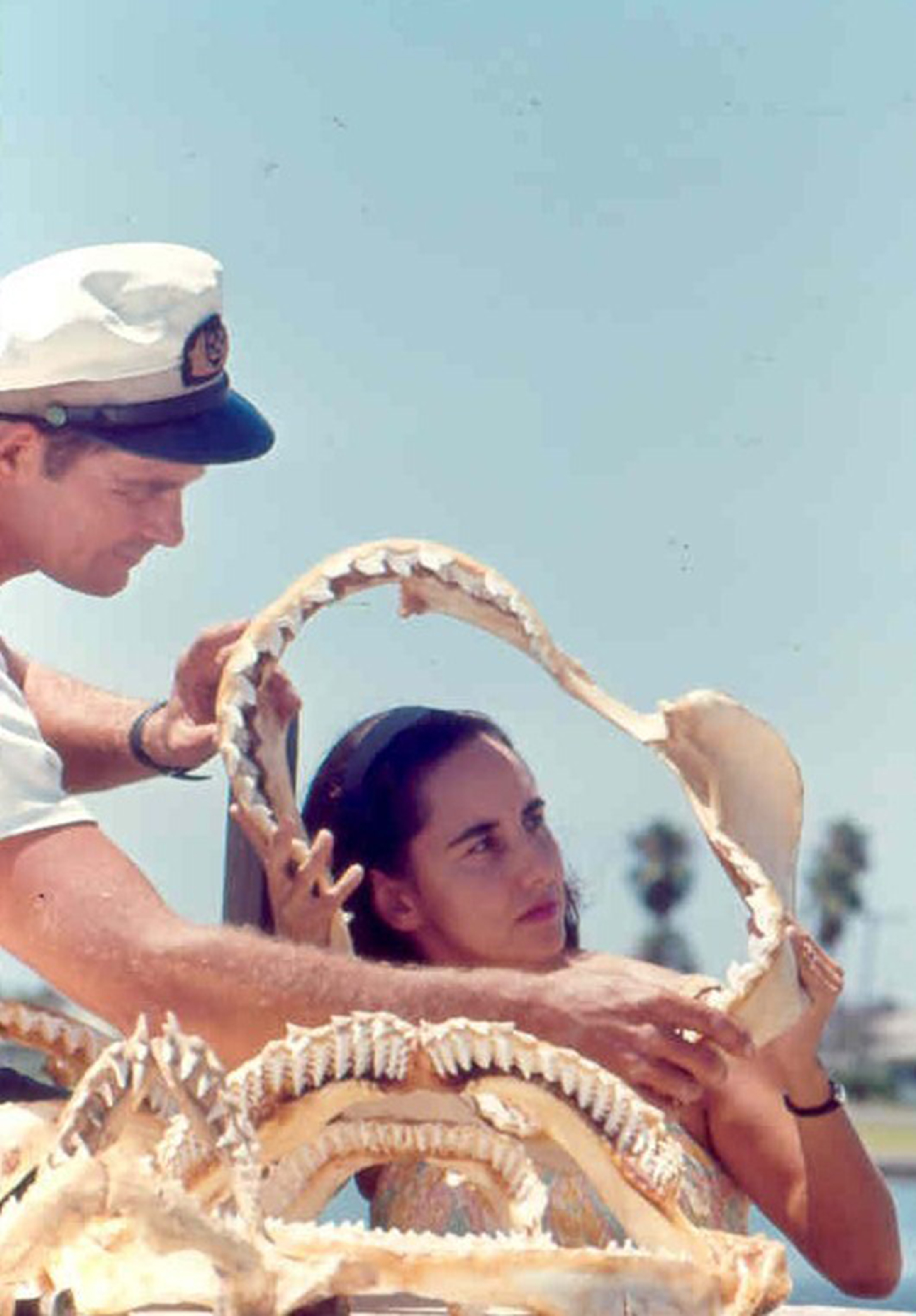 Genie inspects some shark jaws