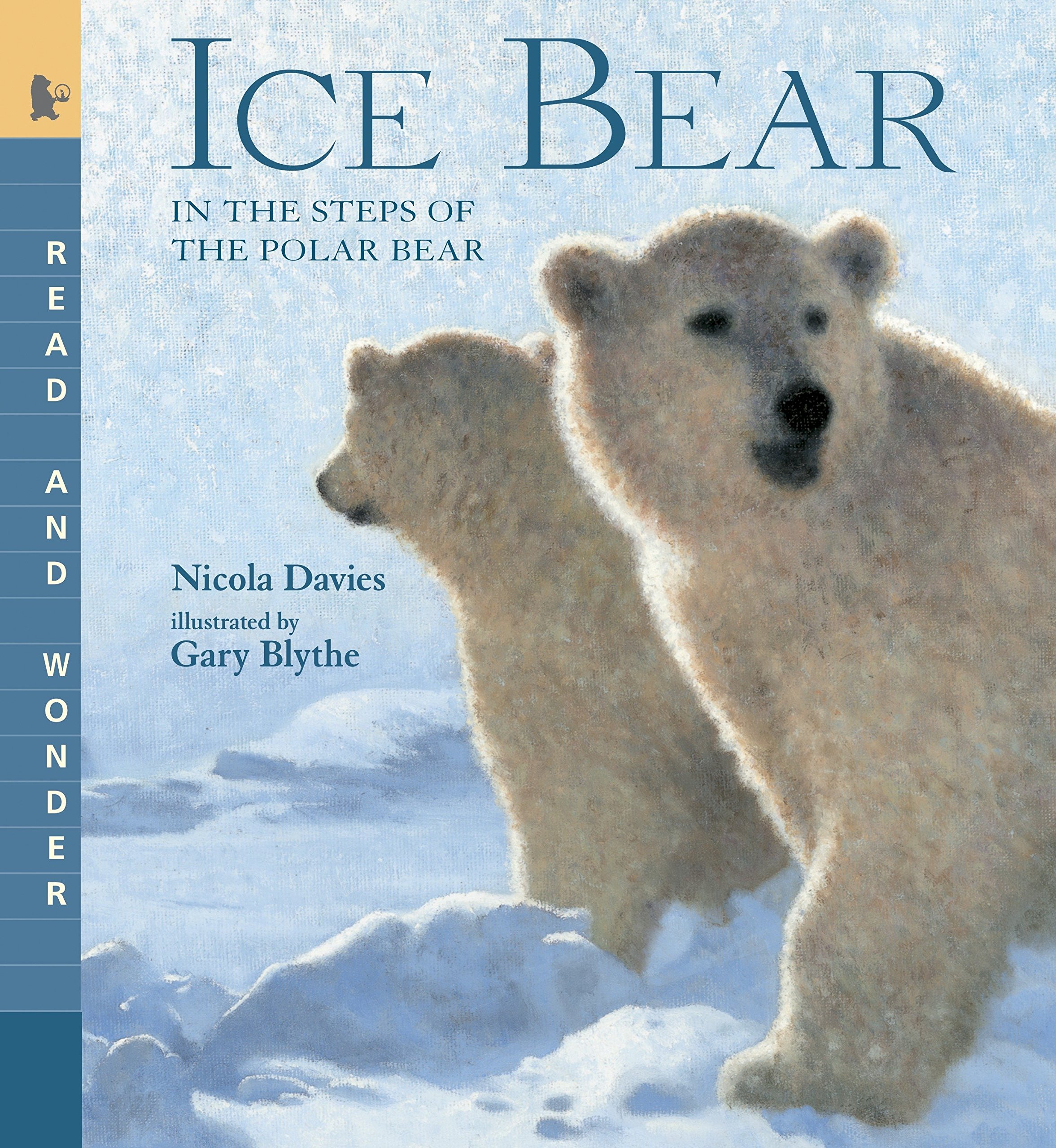 Ice Bear by Nicola Davies