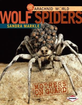 Wolf Spiders by Sandra Markle