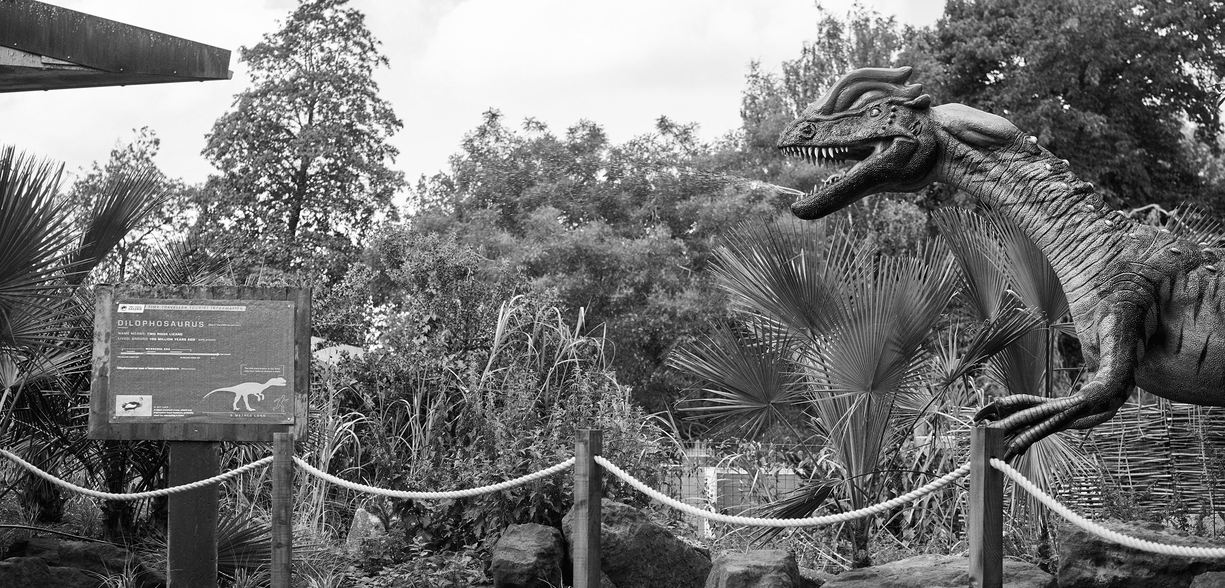 TIME TRAVEL SAFARIS — LONDON ZOO