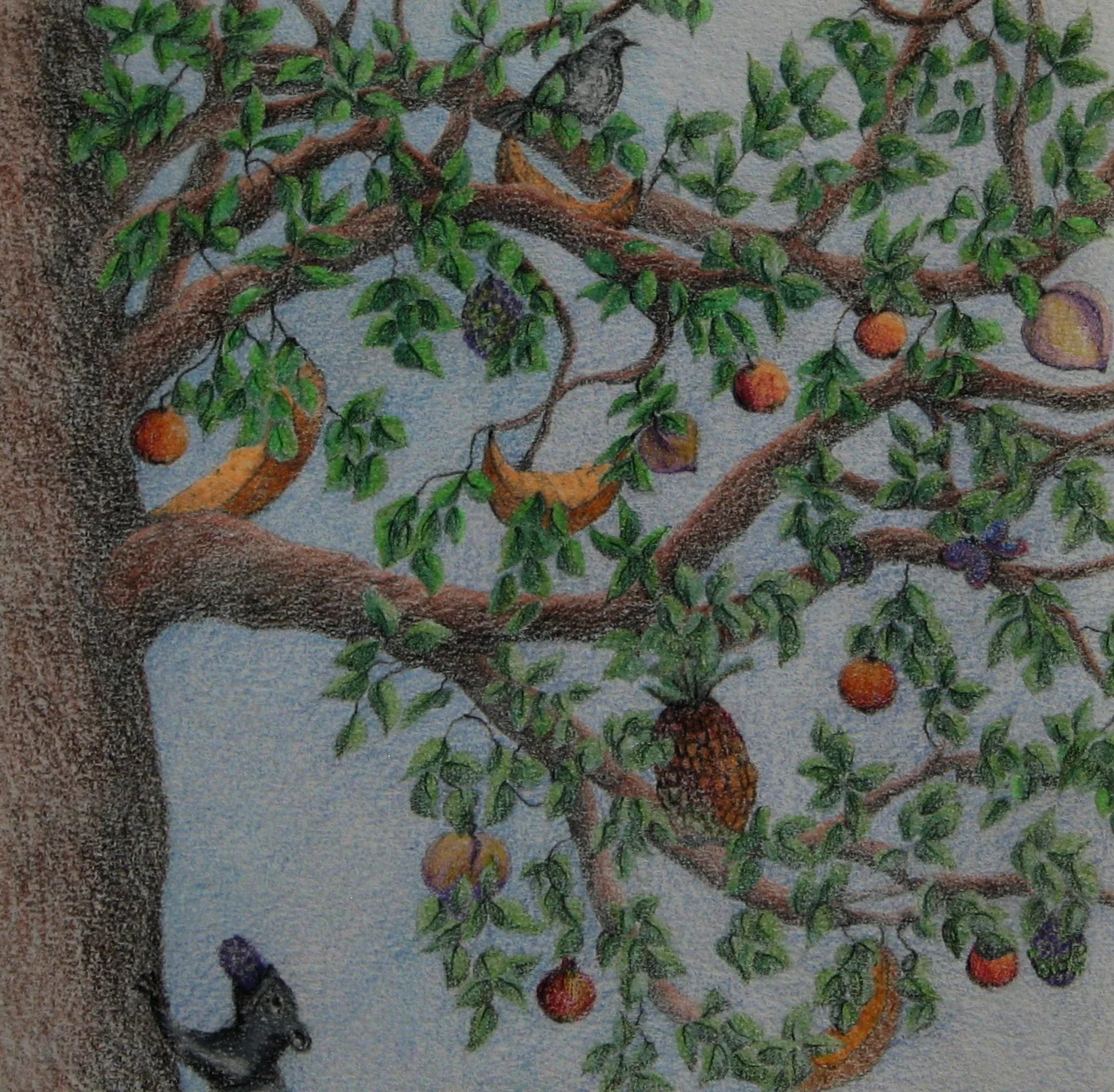 illustration for book