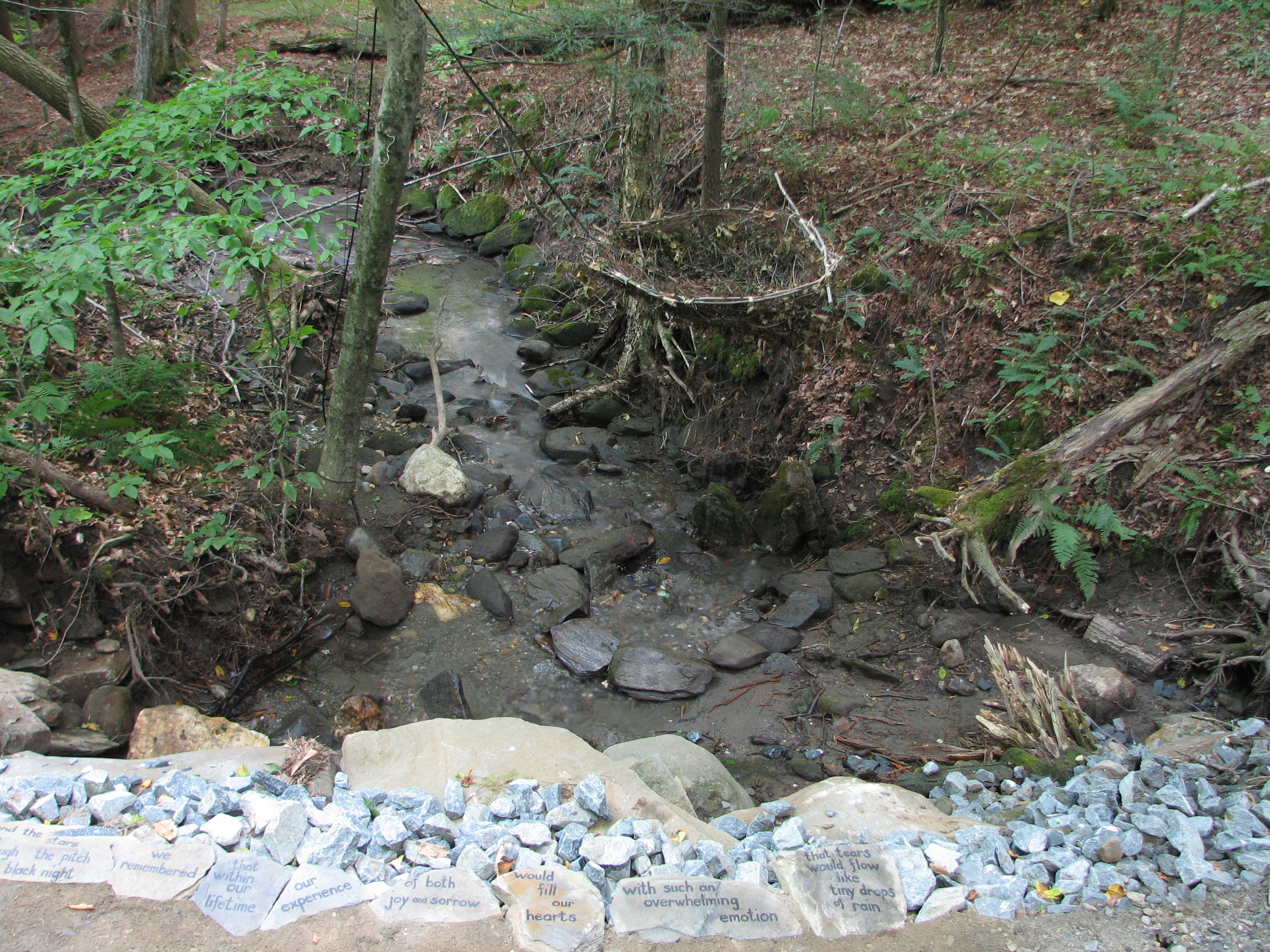 Water Sculpture