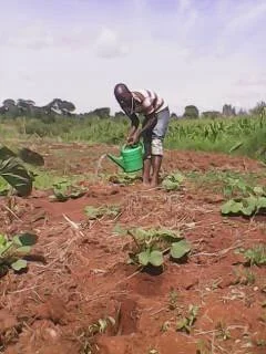 Kafumufu, Omari's sponsored student