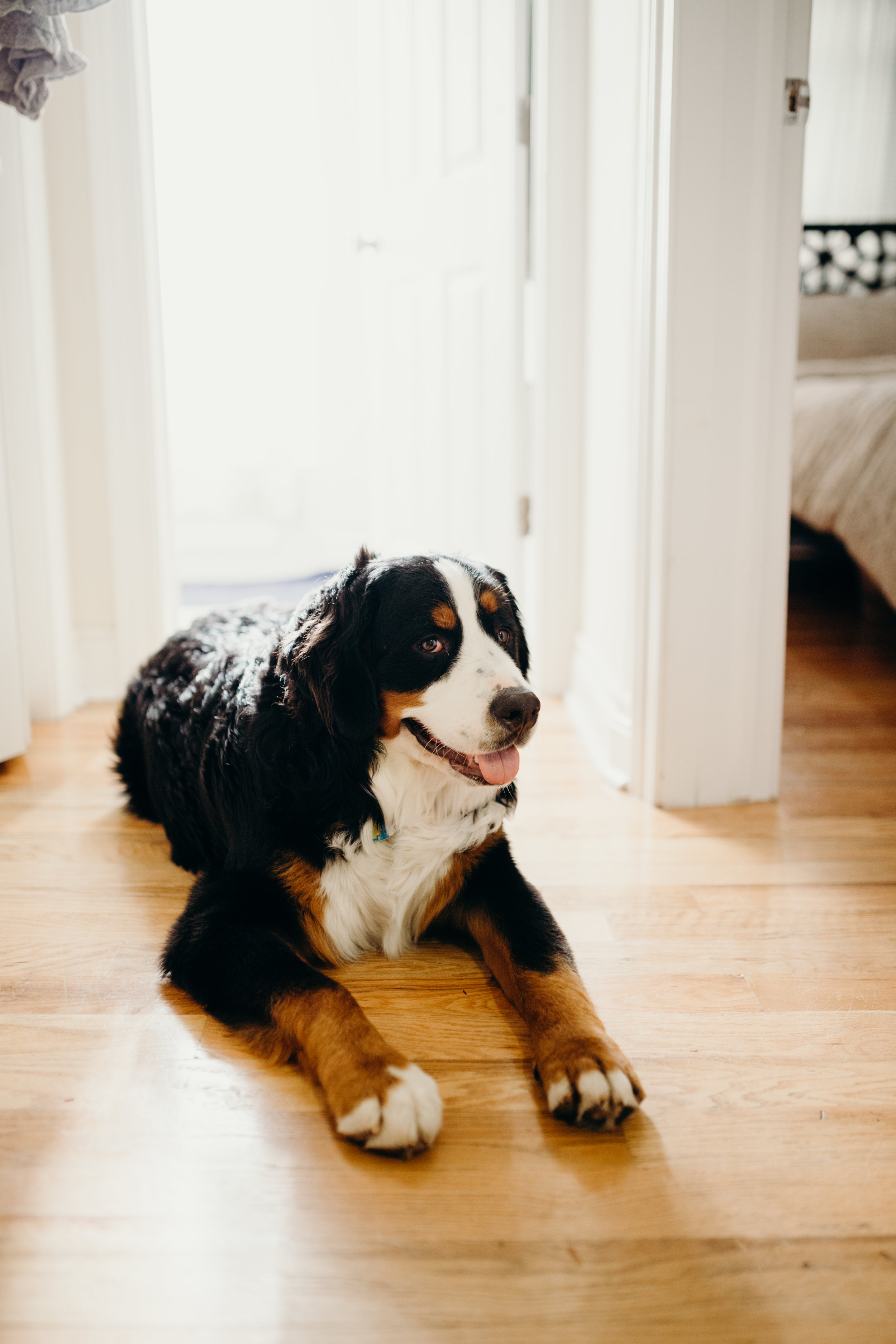 bymariphotography-5180.jpg