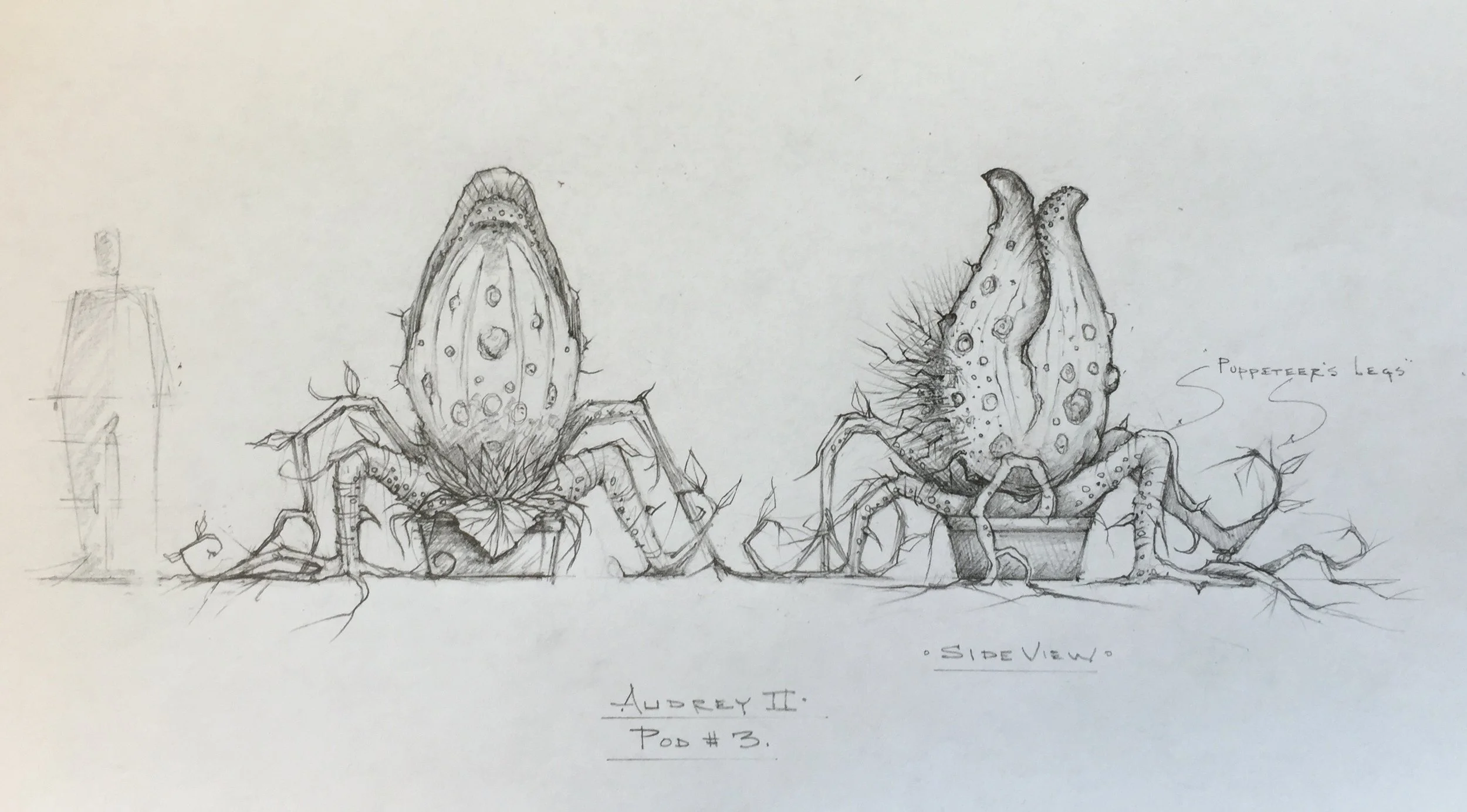 FullSizeRender pod3.jpg