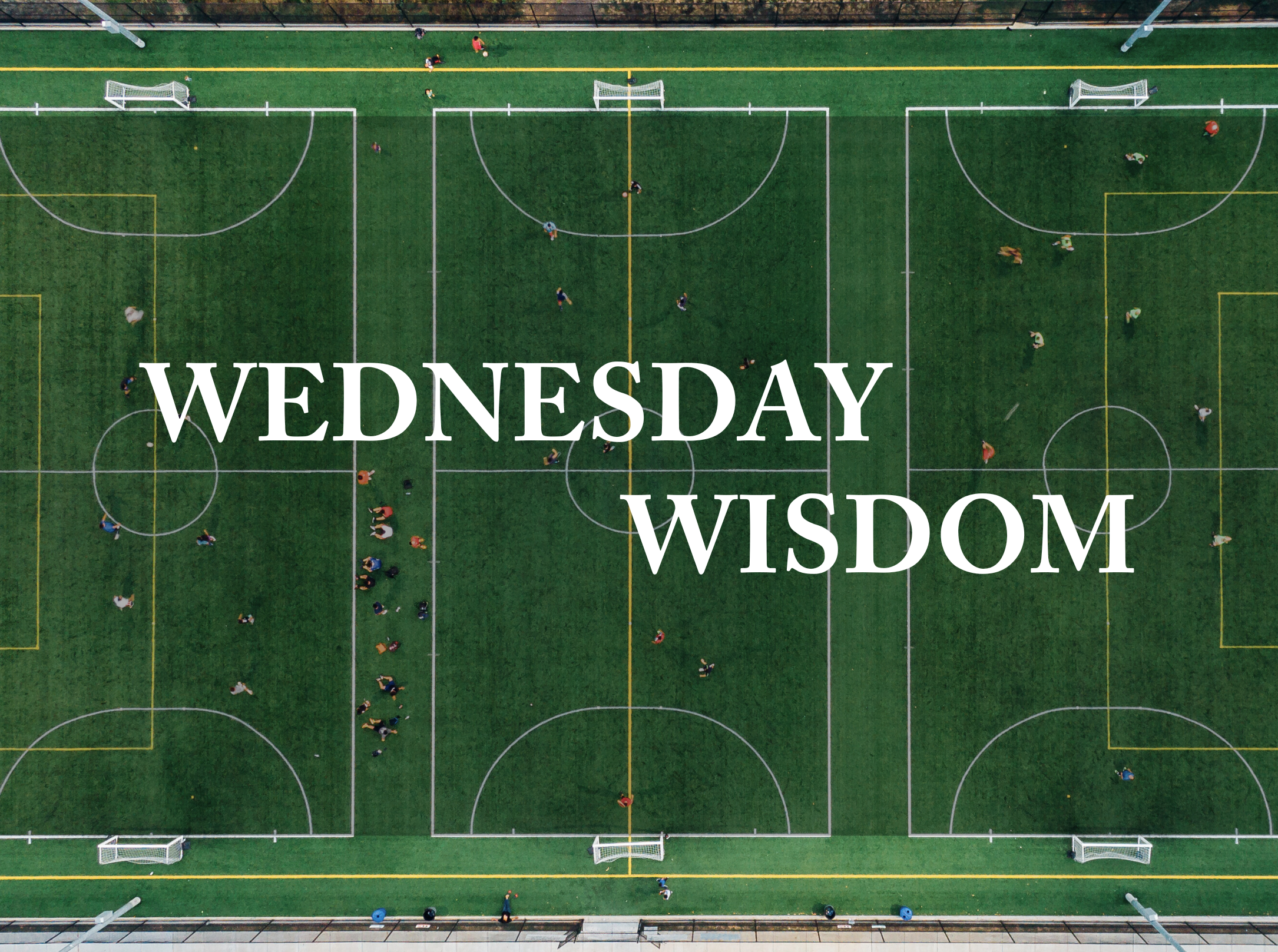 Wednesday Wisdom