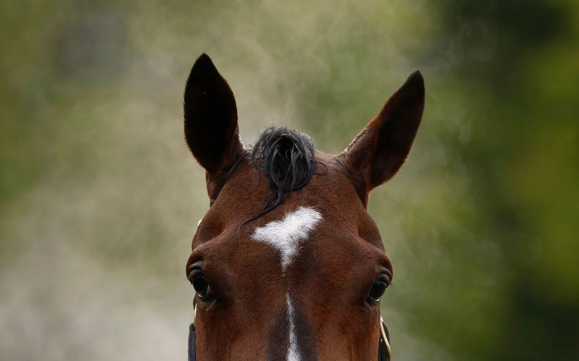 If You’re Going to a Kentucky Derby Party, Listen To This First