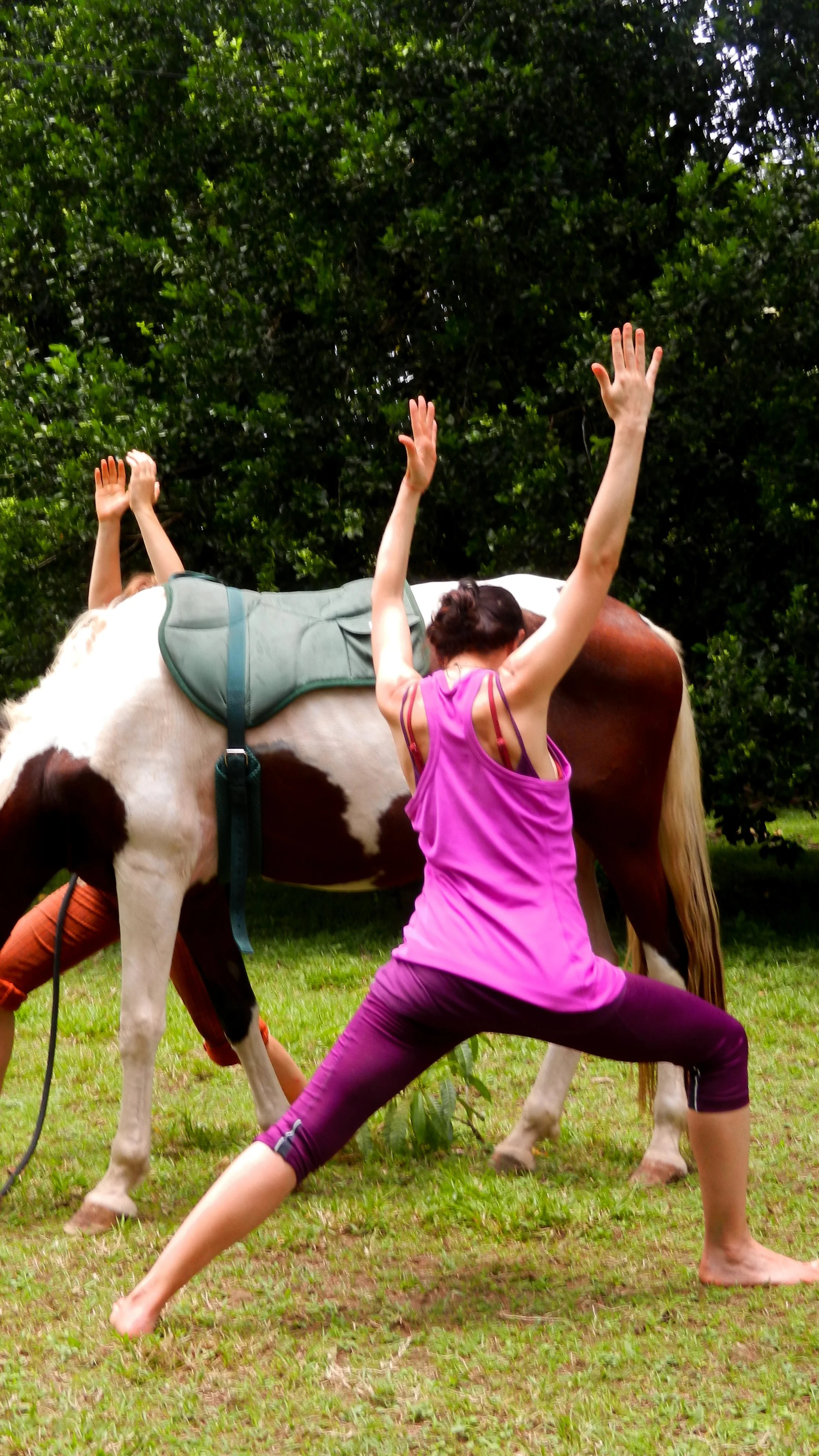 Yoga with Horses Day2-147.jpg