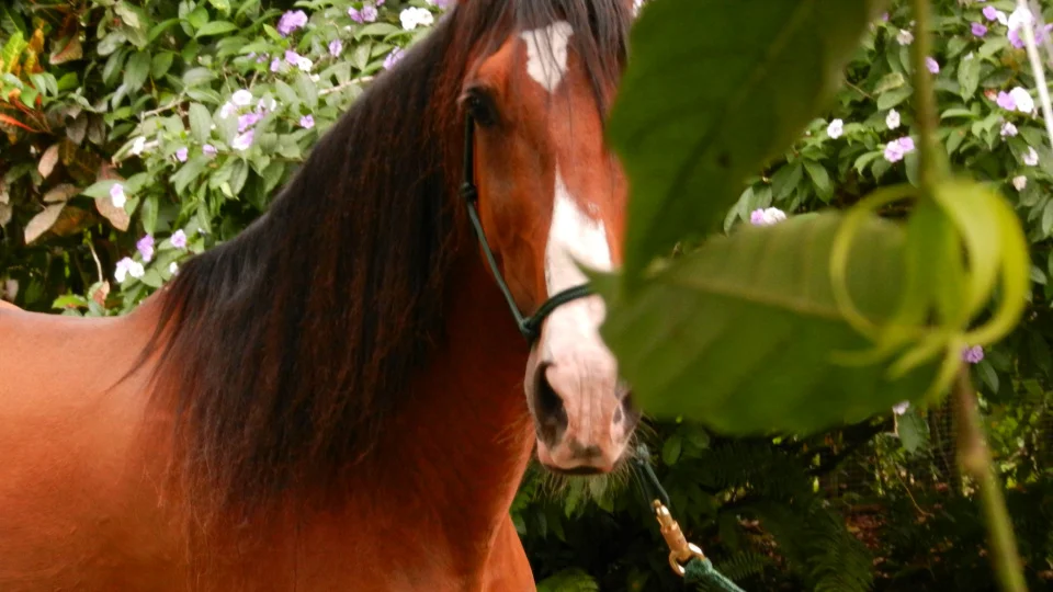 dscn1684.jpg