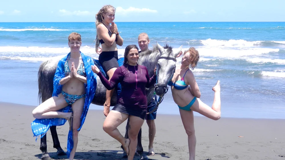 Sea Yogis, mermaids & Horse