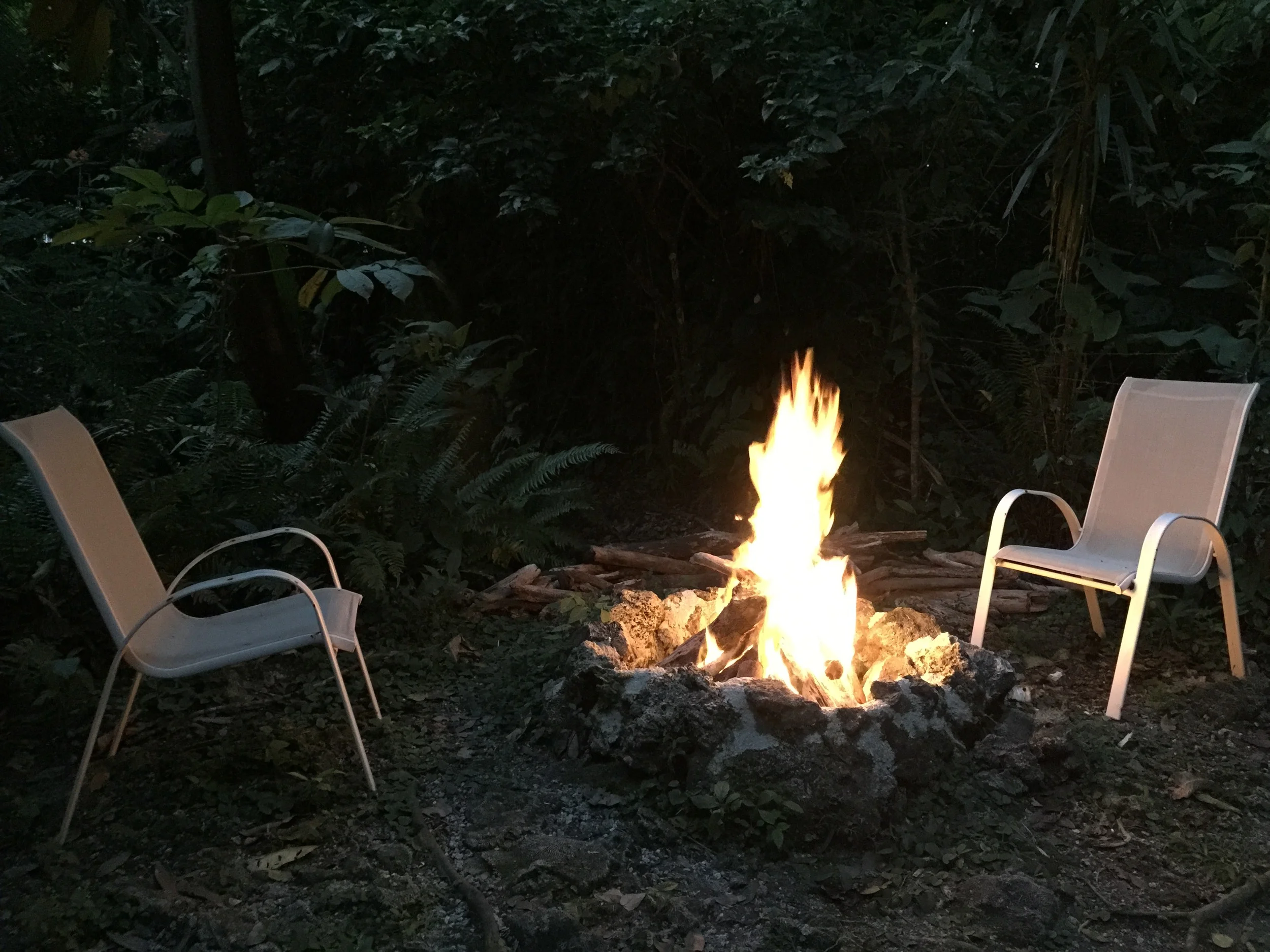Jungle nights & bonfires