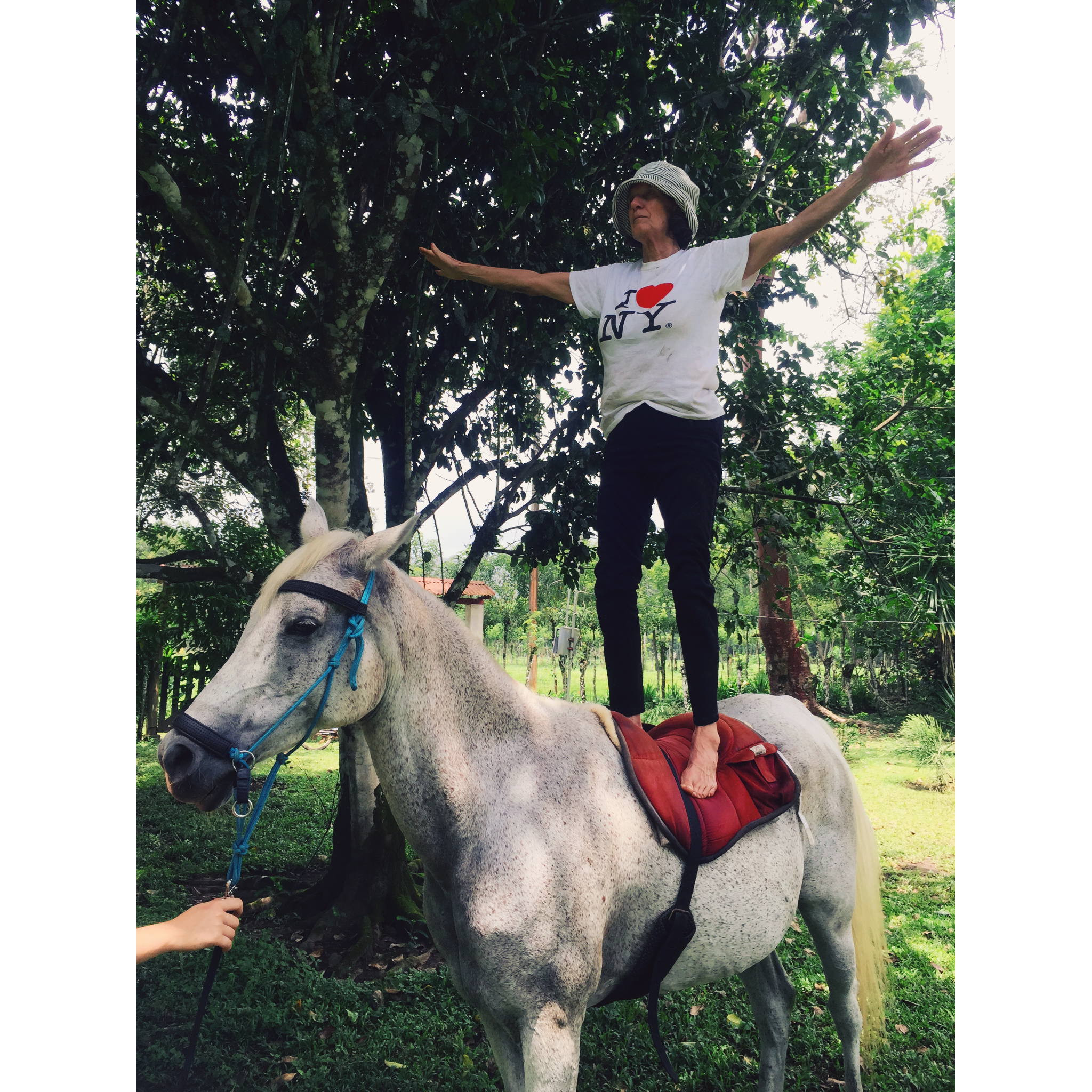 Mary on top of the world