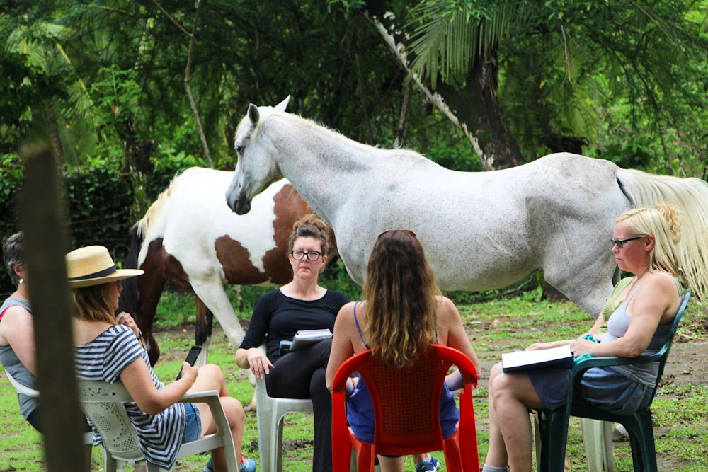 Equine Therapist Stacey Warner & guests