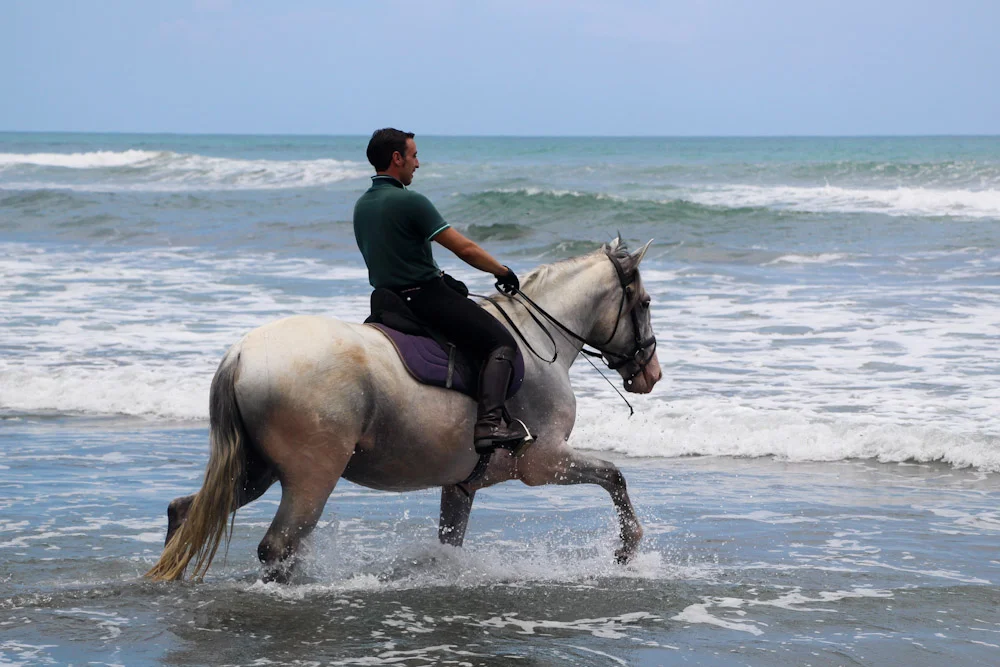 Javier Breton Perez leading Magnus on his 1st sea experience!