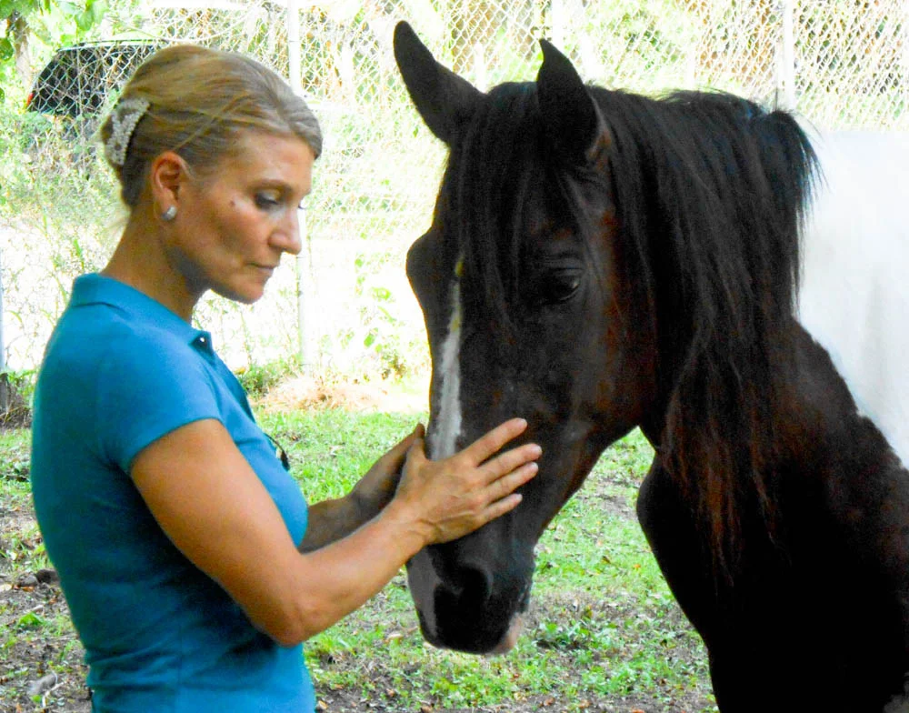 Anna Ullenius with Anya, 2 healers understanding one another.