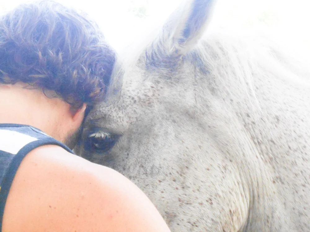 "I am here, in this moment, with you." says horse to the man.