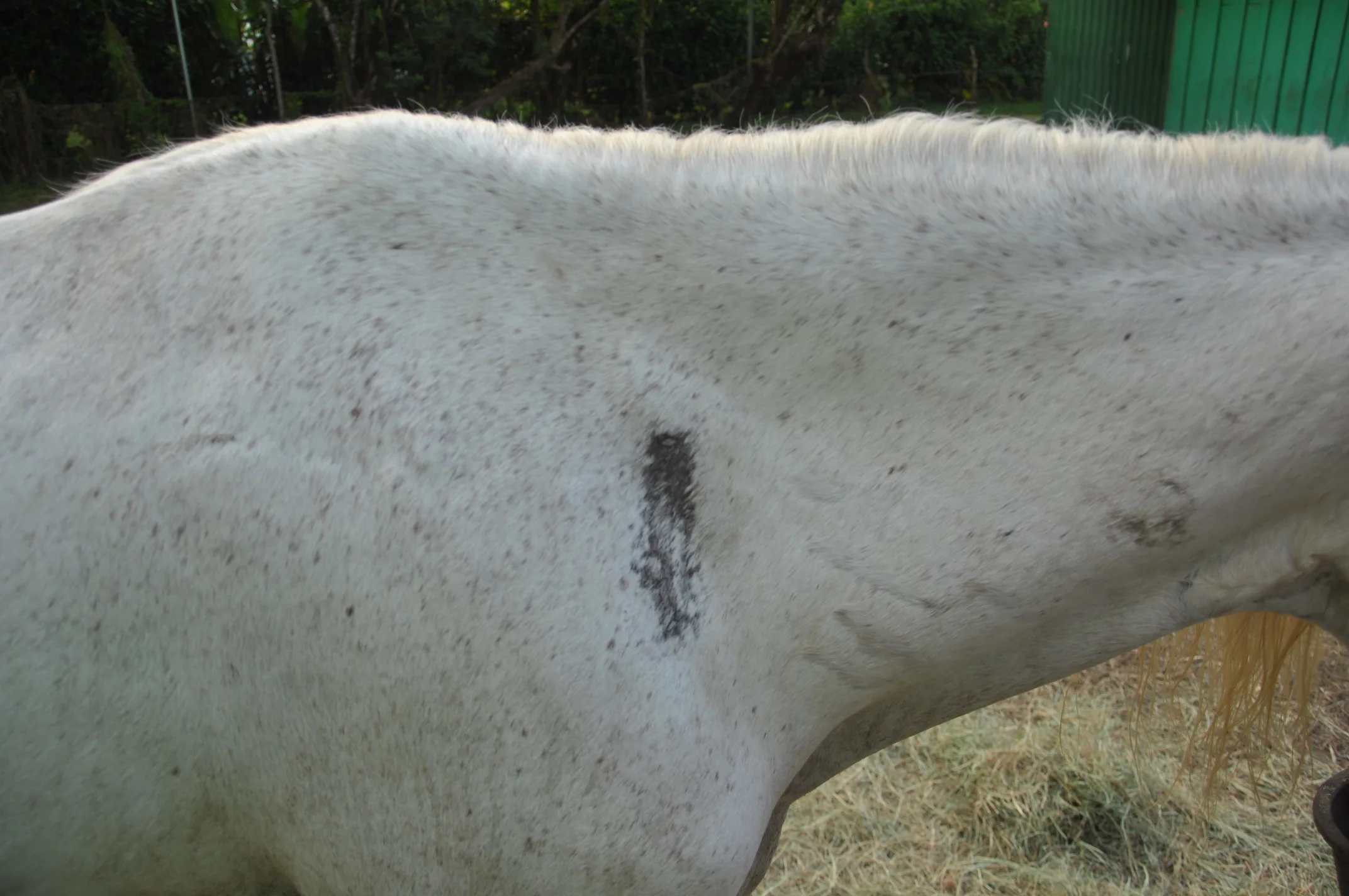 The grey part is just a little of the left over clay we hadn't completely washed off.