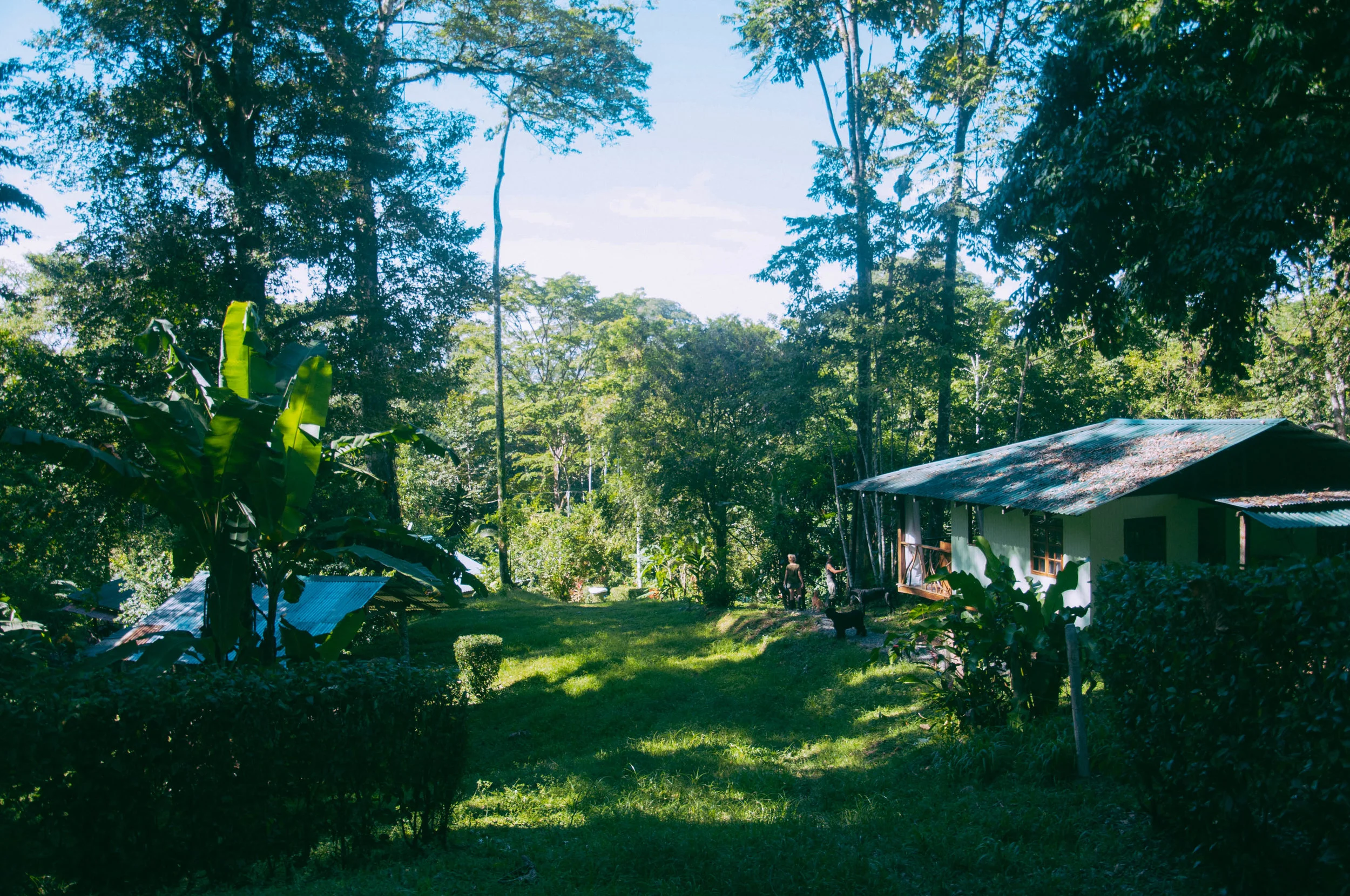View looking down towards the sea. Volunteer house on the right.