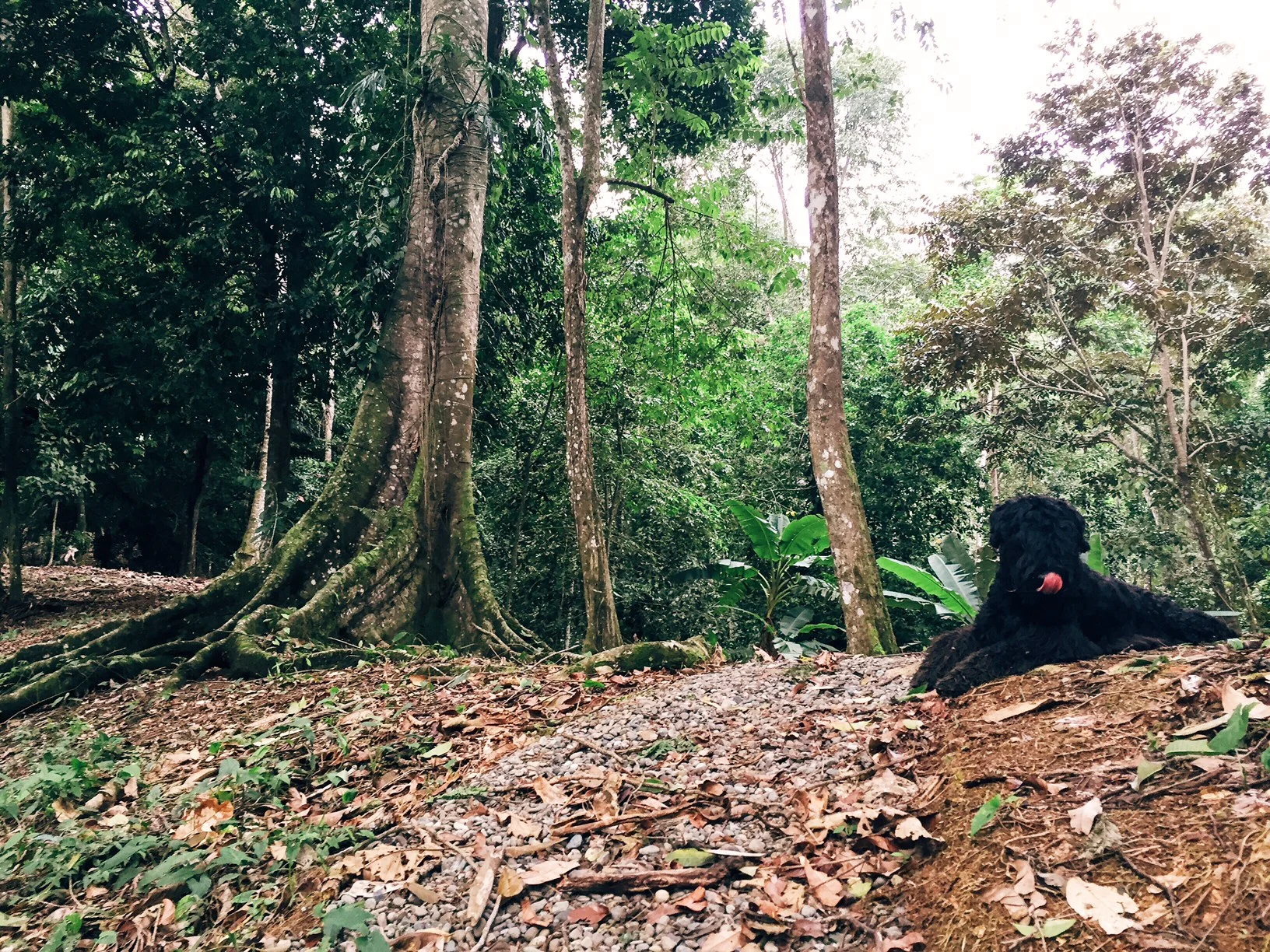 Felix thinks this is the perfect place for his yoga & meditation practice