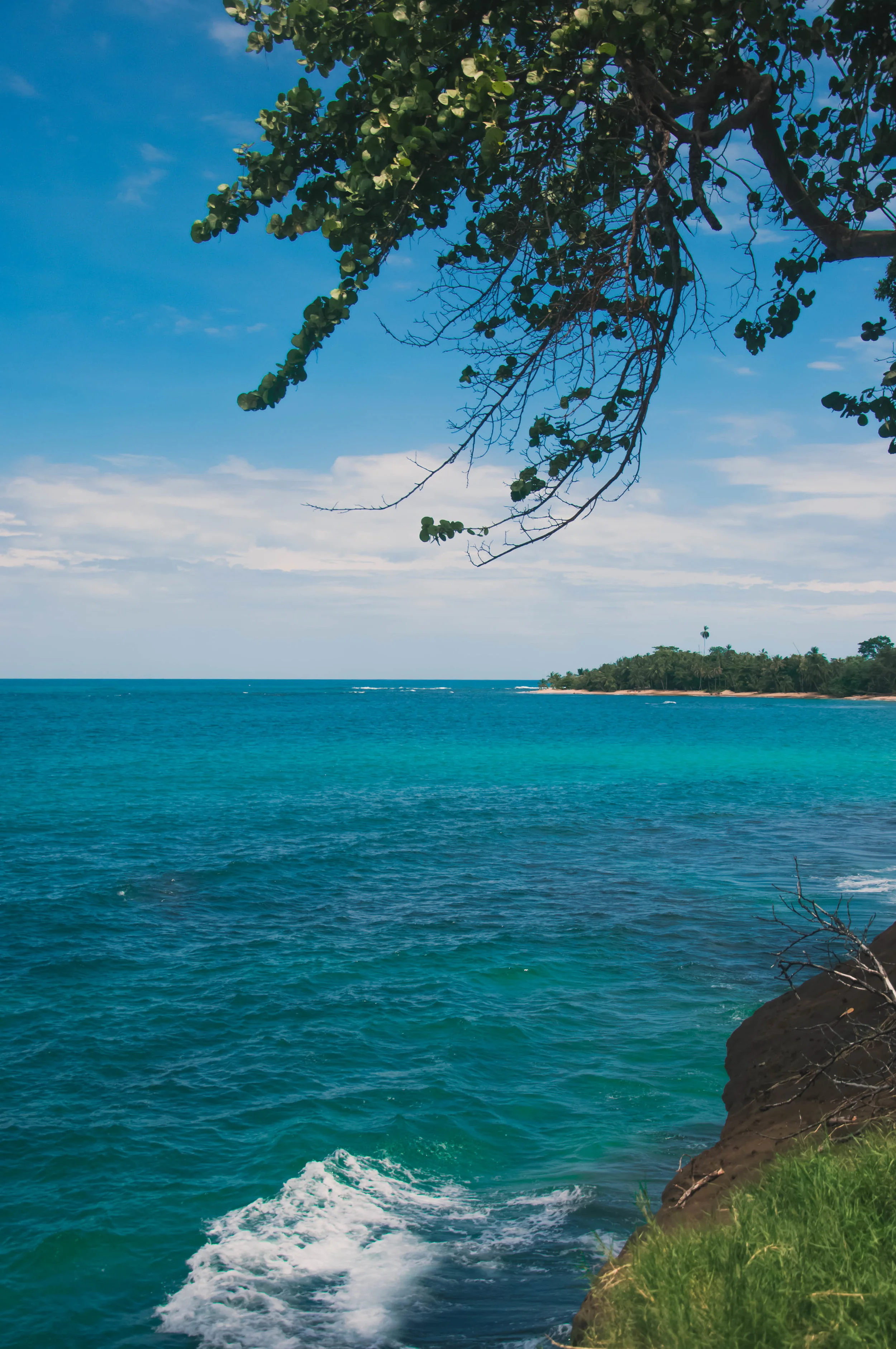 View from the rock of Punta Uva.