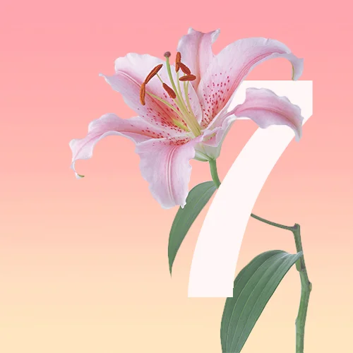 Day 7