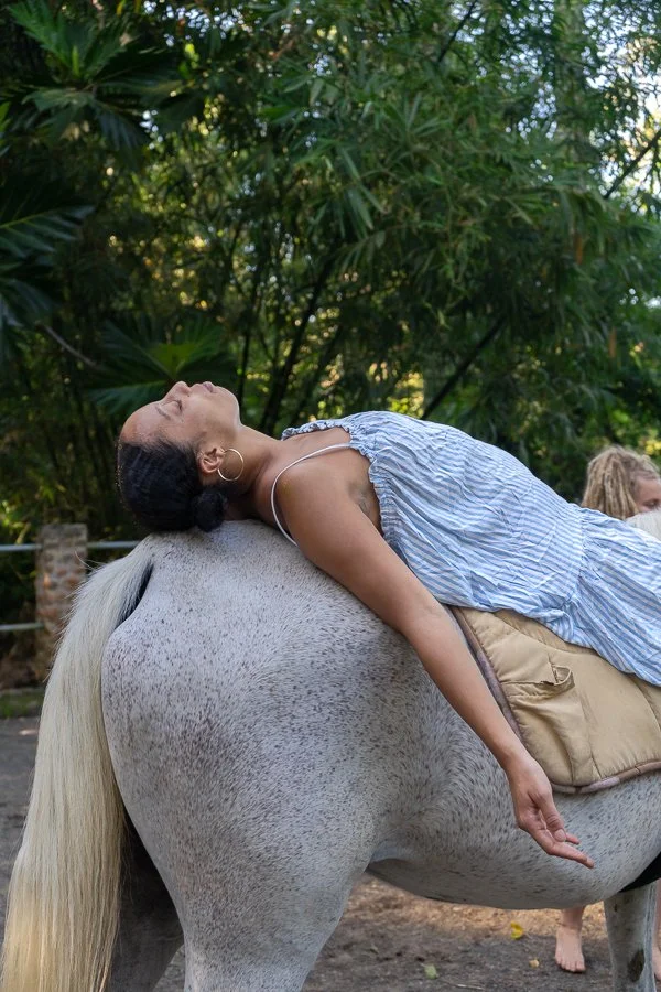 Equine Yoga Teacher Program, 10 DAYS INTENSIVE Yoga with Horses