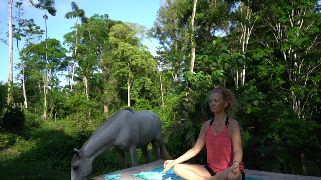 Horse Pasture Meditation Spot