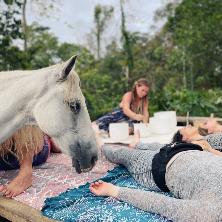 Sound Healing with Horses Under the Tree of Life